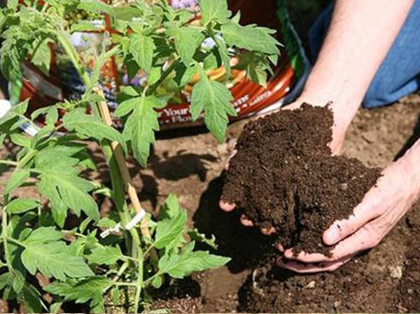 生物有机肥在有机作物种植上的使用